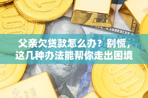 济南父亲欠贷款怎么办?别慌,这几种办法能帮你走出困境 济南父亲欠贷款怎么办?别慌,这几种办法能帮你走出困境